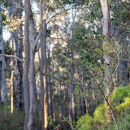 Jarrah Grove Forest Retreat - Adults Only Luxury Chalet Rosa Glen Luaran gambar