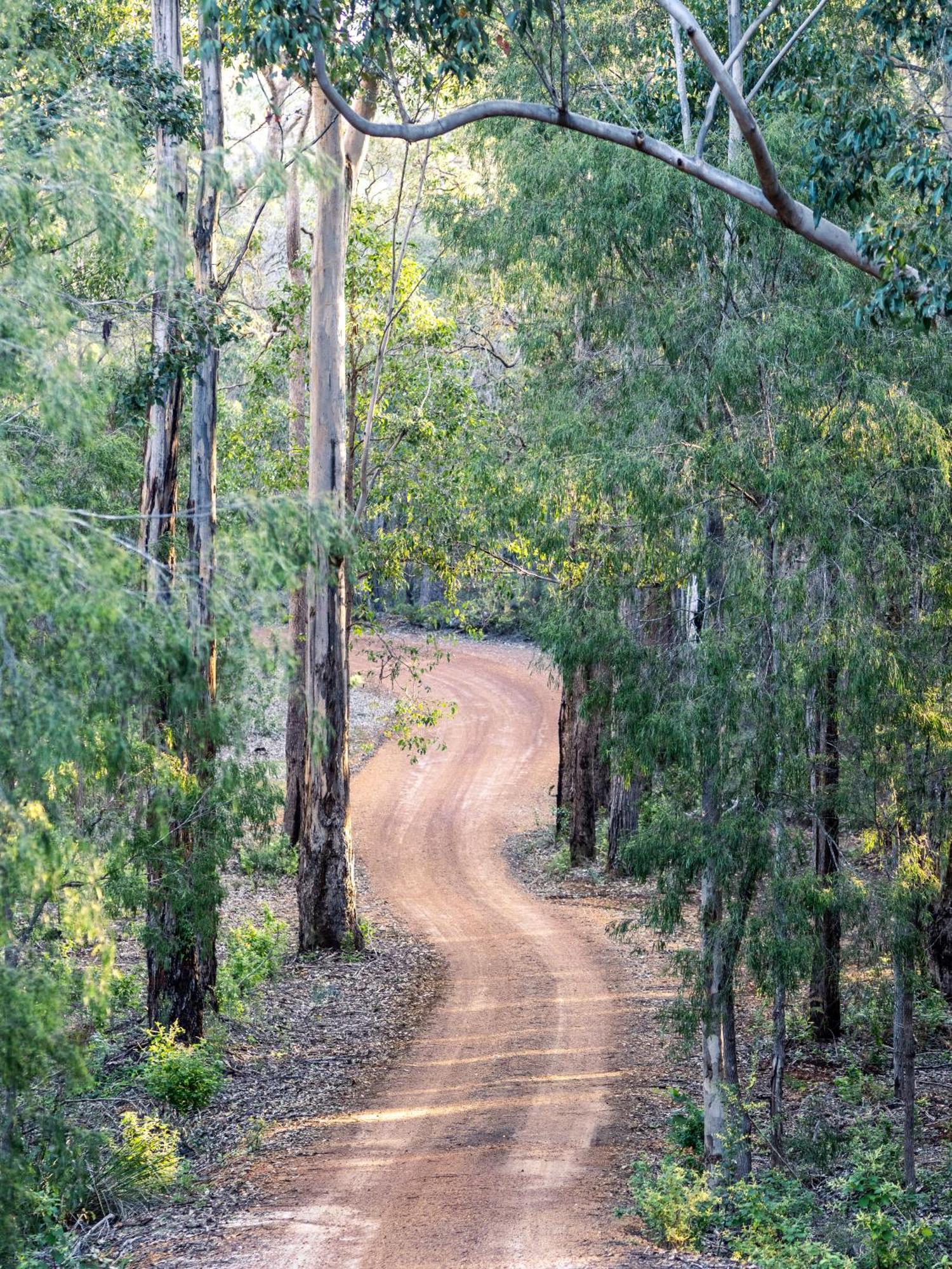 Jarrah Grove Forest Retreat - Adults Only Luxury Chalet Rosa Glen Luaran gambar