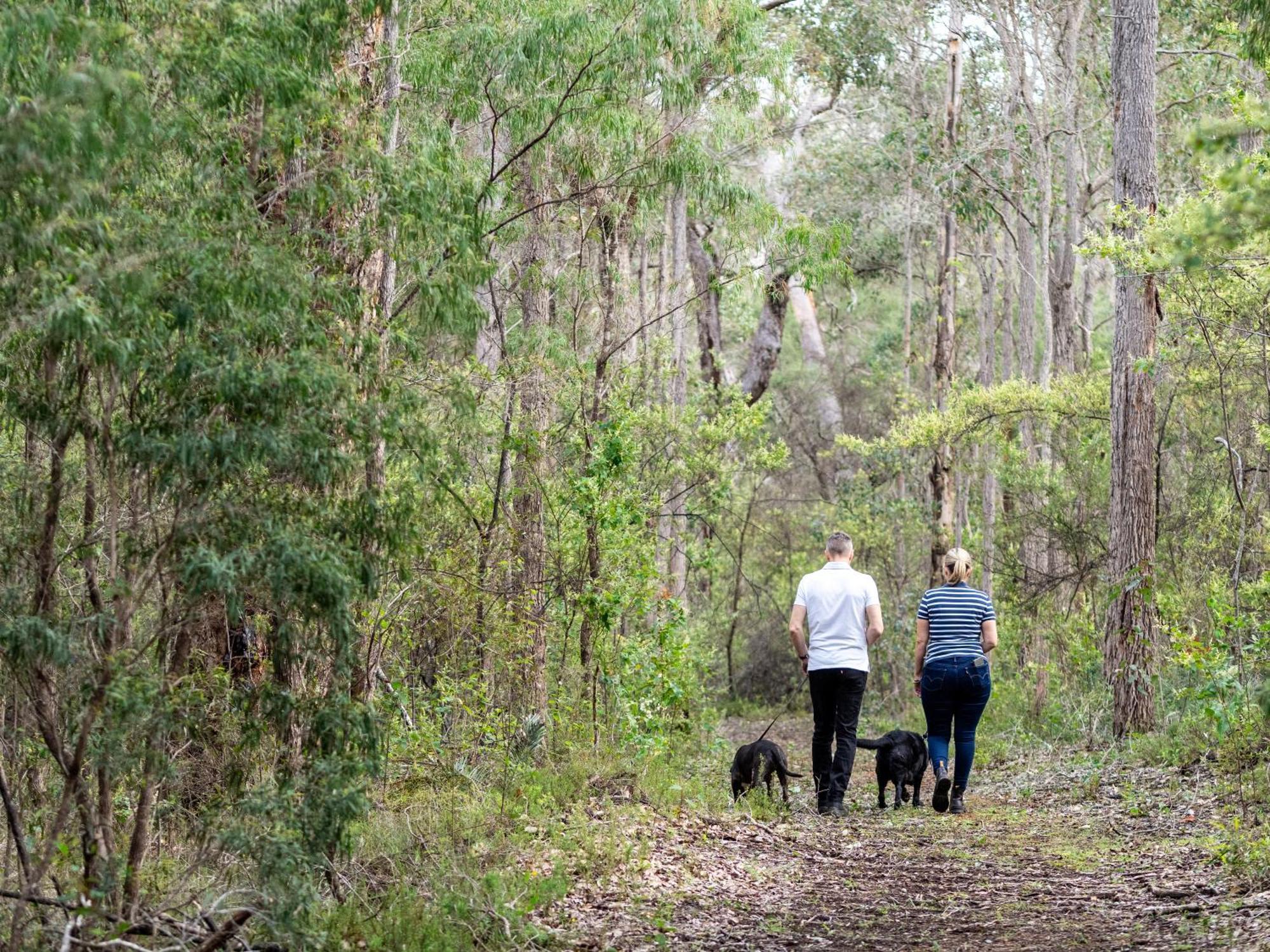 Jarrah Grove Forest Retreat - Adults Only Luxury Chalet Rosa Glen Luaran gambar