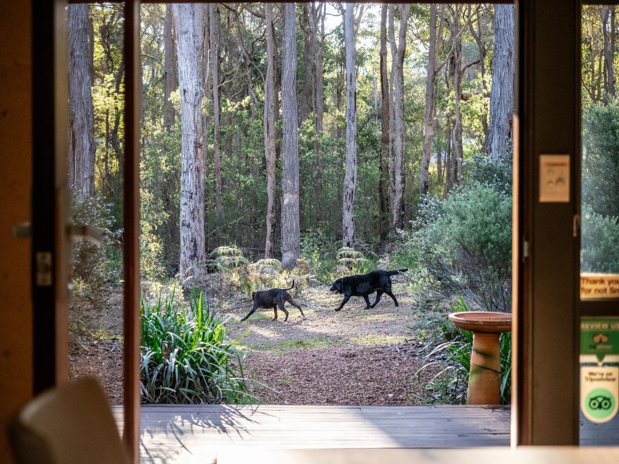 Jarrah Grove Forest Retreat - Adults Only Luxury Chalet Rosa Glen Luaran gambar