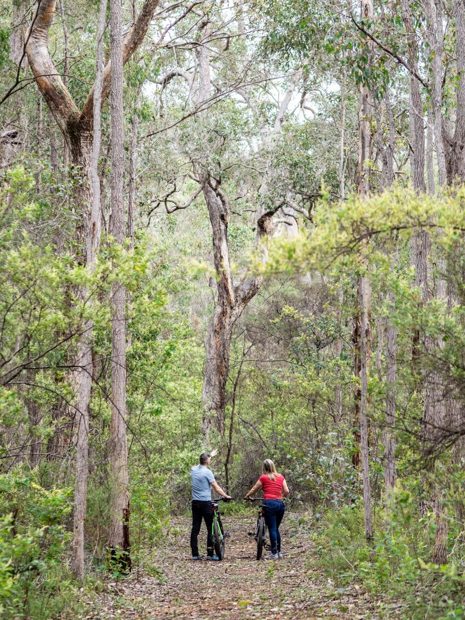 Jarrah Grove Forest Retreat - Adults Only Luxury Chalet Rosa Glen Luaran gambar